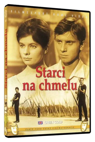 Starci na chmelu (DVD)