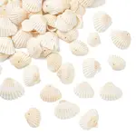 200G Natural Shell Pendants