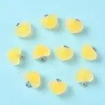 10Pcs Frosted Resin Pendants