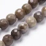 Natural Silver Leaf Jasper Beads Strands