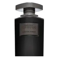 Al Haramain Portfolio Oriental Forest parfémovaná voda pro muže 75 ml