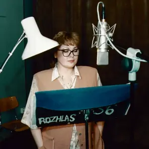 O princezně v oslí kůži - Charles Perrault - audiokniha