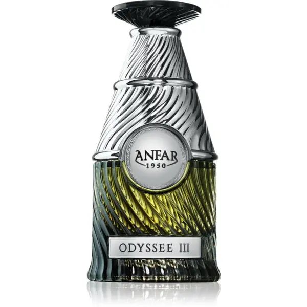 Anfar Odyssee III. parfémovaná voda pro muže 100 ml