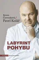 Labyrint pohybu - Pavel Kolář, Renata Červenková - e-kniha