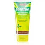 Beauty Formulas Tea Tree hloubkově čisticí šampon 200 ml