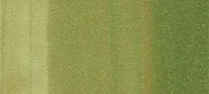 Copic classic marker – G24 Willow