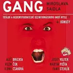 Gang Miroslava Saidla – Totální a neidentifikovatelné dezinformátorovo hnutí mysli č.1