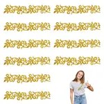 Computerized Embroidery Cloth Iron on/Sew on Patches