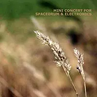 Steve Bender – Spacedrum & Electronics