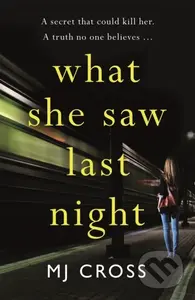 What She Saw Last Night - Mason Cross - kniha z kategorie Společenská beletrie