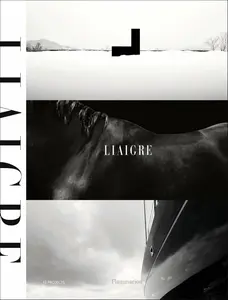 Liaigre: 12 Projects - Christian Liaigre