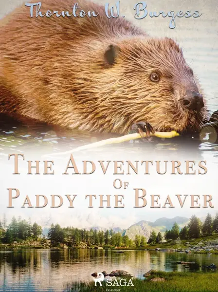 The Adventures of Paddy the Beaver - Thornton W. Burgess