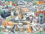 Mačky (FH51) - puzzle z kategorie Naučné puzzle