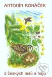 Z českých lesů a hájů - Antonín Roháček - kniha z kategorie Místopisy