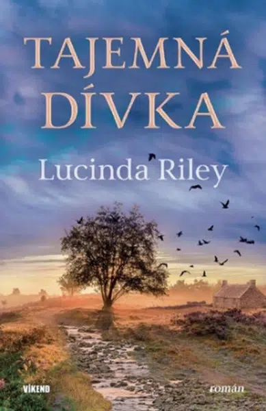 Tajemná dívka - Lucinda Rileyová