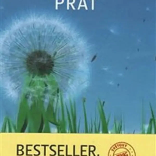 Jak si správně přát - Pierre Franckh
