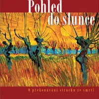 Pohled do slunce - Irvin D. Yalom