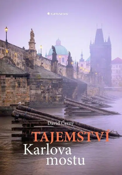 Tajemství Karlova mostu - David Černý