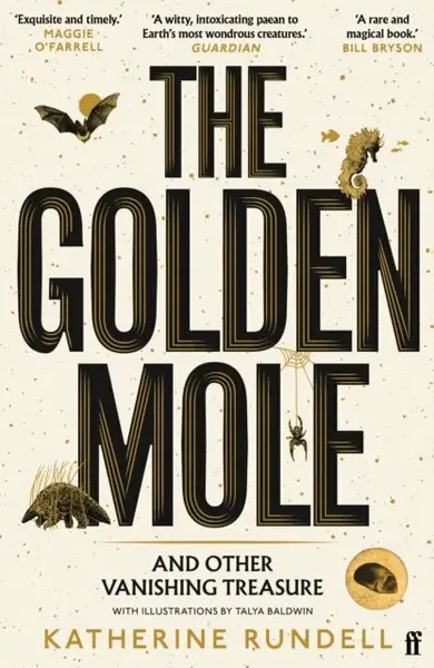 The Golden Mole - Katherine Rundell