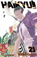 Haikyu!!, Vol. 21 - Haruichi Furudate