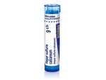 Hepar sulfuris calcareum 9CH granule 4g