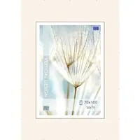 Klipový rám 70x100 cm, čirý