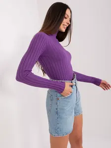 Sweater-PM-SW-1087.09-dark purple