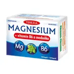 TEREZIA Magnesium + vitamin B6 a meduňka 120 kapslí