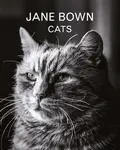 Jane Bown: Cats - Jane Bown