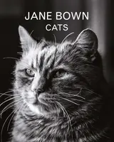 Jane Bown: Cats - Jane Bown