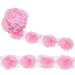 Polyester Lace Ribbons