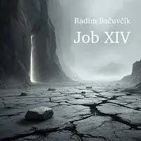 Radim Bačuvčík, VeRBuM DiGNuM – Job XIV