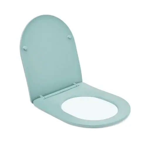 Wc doska softclose SAT Infinitio zelená SATINFPLGEM