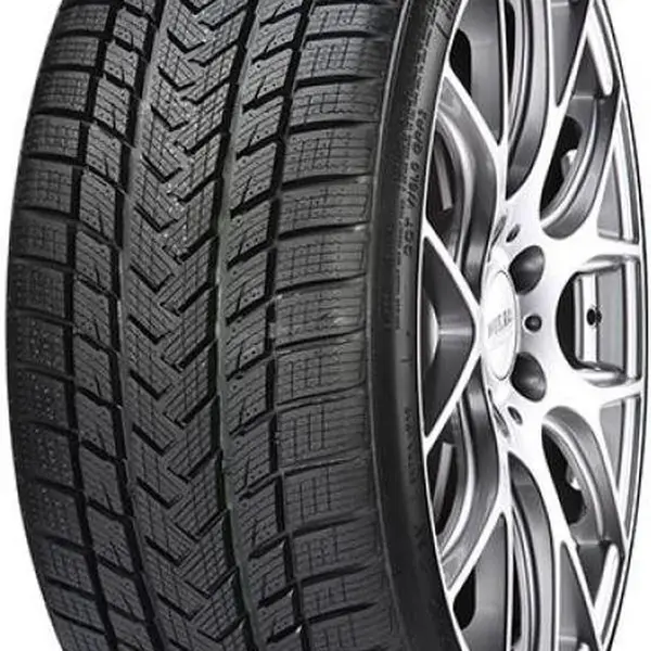 GRIPMAX 215/45 R 20 95W PRO_WINTER TL M+S 3PMSF