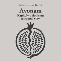 Avonam: Kapitoly o sionismu a trauma viny - Karol Efraim Sidon - audiokniha