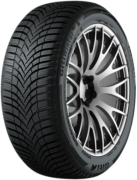 GITI 205/55 R 16 91T GITIWINTER_W2 TL M+S 3PMSF