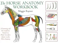 Horse Anatomy Workbook - Maggie Raynor