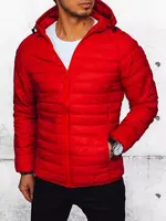 Pánska bunda DStreet