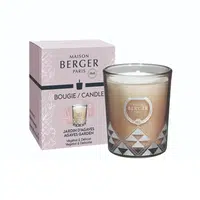 Maison Berger Paris Vonná svíčka Joy Garden of Agaves 180 g