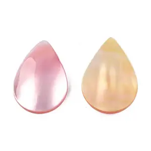 Natural Turbo Cornulus/Top Shells Cabochons
