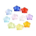 Transparent Acrylic Beads