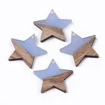 Transparent Resin & Wood Pendants