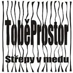Střepy v medu – ToběProstor