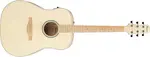 Ibanez AAD77M1E-OAW