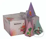 Čaj zelený WELLNESS  12x2g Liran pyramída