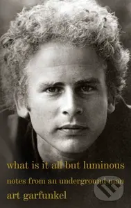 What Is It All but Luminous (Notes from an Underground Man) - Art Garfunkel