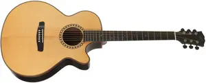 Dowina Danubius GACE-S StagePro