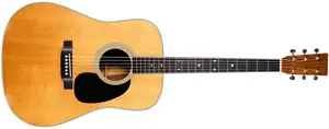 Martin 2009 D-35