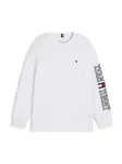 TOMMY HILFIGER Tričko 'TEAM'  námornícka modrá / červená / biela