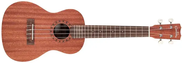 Cordoba Ukulele Player Pack Concert